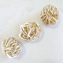 Load image into Gallery viewer, Desert Rose