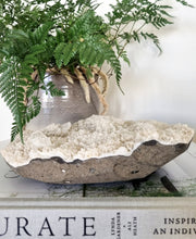 Load image into Gallery viewer, Apophyllite cluster