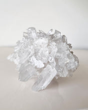 Load image into Gallery viewer, Lemurian Seed Quartz cluster