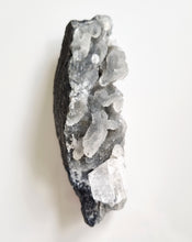 Load image into Gallery viewer, Black Chalcedony & Apophyllite cluster