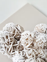 Load image into Gallery viewer, Desert Rose cluster