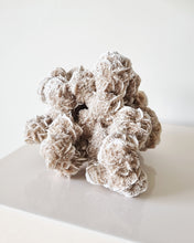 Load image into Gallery viewer, Desert Rose cluster