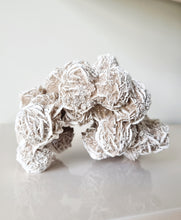 Load image into Gallery viewer, Desert Rose cluster