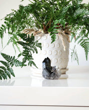 Load image into Gallery viewer, Smokey Quartz cluster