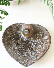 Load image into Gallery viewer, Fossil Orthoceras heart dish