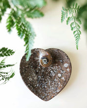 Load image into Gallery viewer, Fossil Orthoceras heart dish