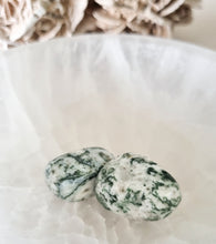Load image into Gallery viewer, Tree Agate tumbles