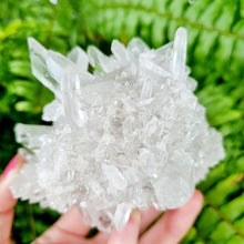 Load image into Gallery viewer, Lemurian Seed Quartz cluster

