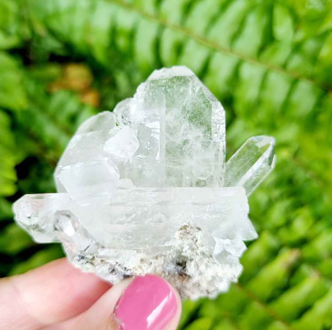 Lemurian Seed Quartz cluster