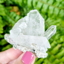 Load image into Gallery viewer, Lemurian Seed Quartz cluster
