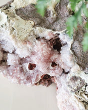 Load image into Gallery viewer, Pink Amethyst cave cluster
