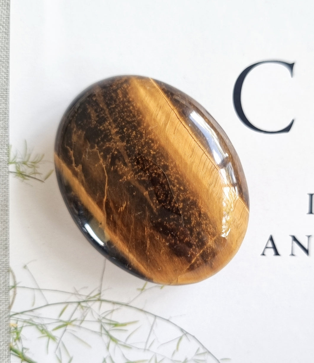 Tigers Eye palmstone