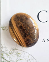 Load image into Gallery viewer, Tigers Eye palmstone
