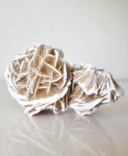 Load image into Gallery viewer, Desert Rose cluster
