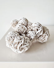 Load image into Gallery viewer, Desert Rose cluster
