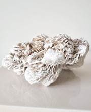 Load image into Gallery viewer, Desert Rose cluster

