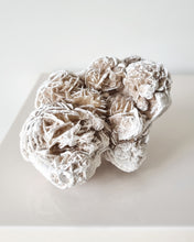 Load image into Gallery viewer, Desert Rose cluster
