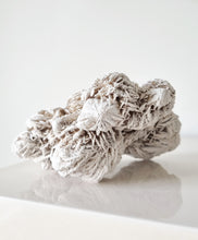 Load image into Gallery viewer, Desert Rose cluster
