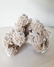 Load image into Gallery viewer, Desert Rose cluster
