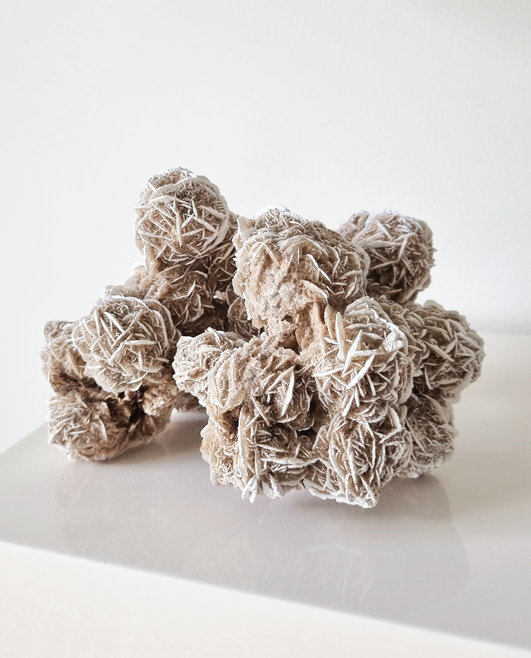 Desert Rose cluster