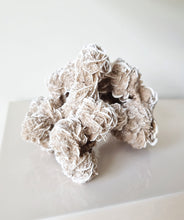 Load image into Gallery viewer, Desert Rose cluster
