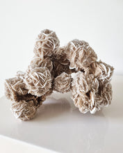 Load image into Gallery viewer, Desert Rose cluster
