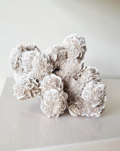 Load image into Gallery viewer, Desert Rose cluster
