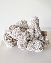Load image into Gallery viewer, Desert Rose cluster
