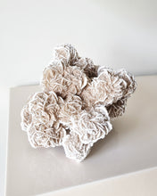 Load image into Gallery viewer, Desert Rose cluster
