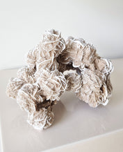 Load image into Gallery viewer, Desert Rose cluster
