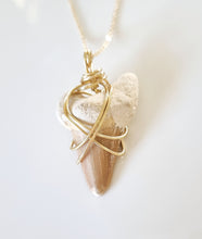 Load image into Gallery viewer, Fossilised Shark Tooth pendant
