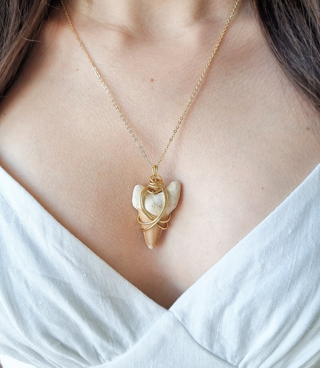 Fossilised Shark Tooth pendant