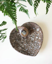 Load image into Gallery viewer, Fossil Orthoceras heart dish

