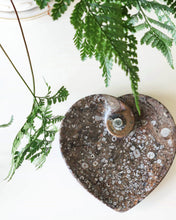 Load image into Gallery viewer, Fossil Orthoceras heart dish

