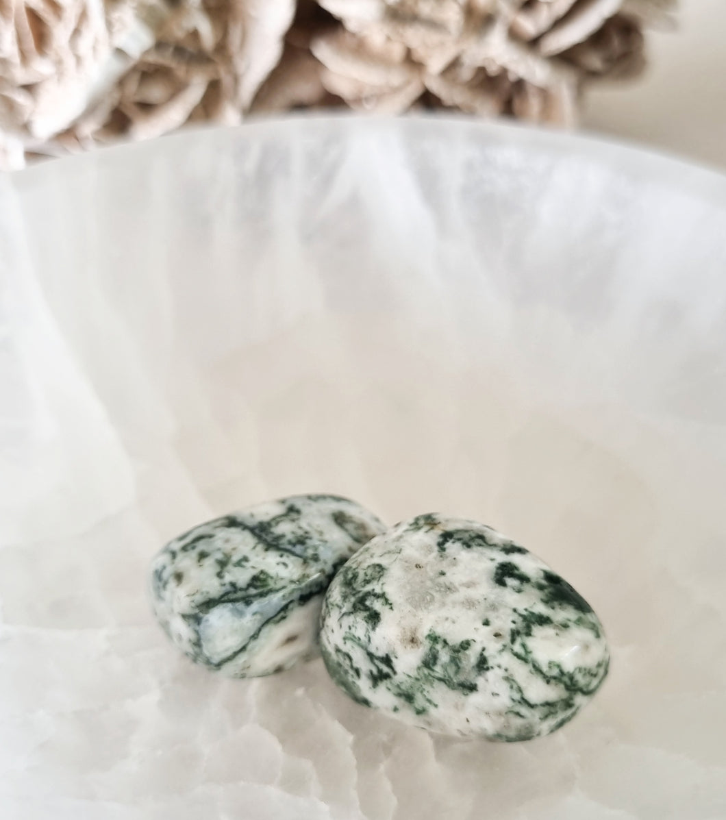 Tree Agate tumbles