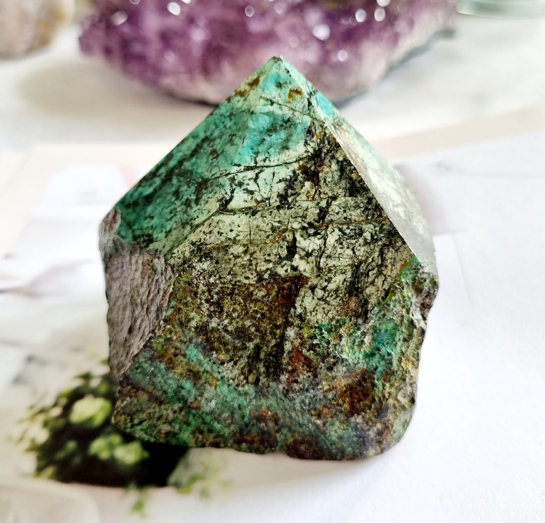 African Turquoise point