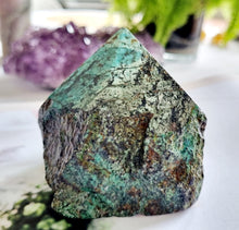 Load image into Gallery viewer, African Turquoise point
