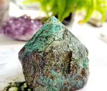 Load image into Gallery viewer, African Turquoise point
